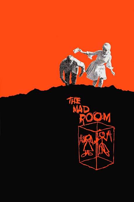 The Mad Room
